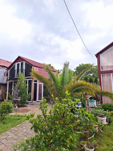 Kobuleti House | Makho's Cottage in Kobuleti
