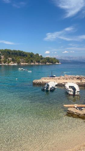 Cove Basina (Jelsa) Apartment | Mala Basina -Maslina