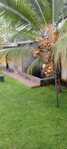 Kribi Villa | Maleh Plus