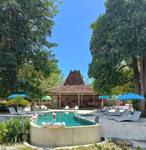 Moyo Resort | Maleo Moyo Hotel & Dive Resort