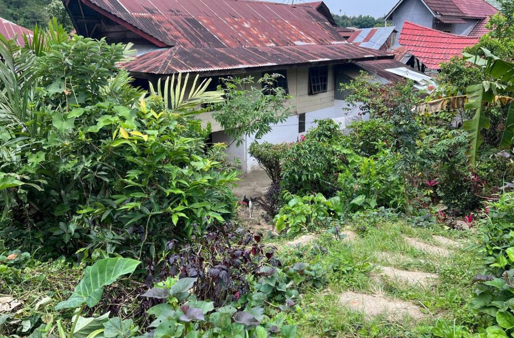 Mamasa House | Mamasa Local House