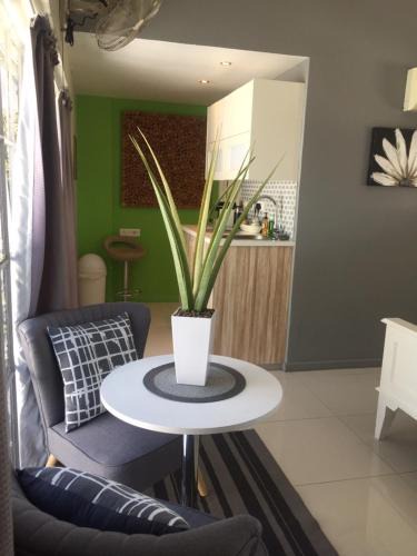 Cape Town City Centre Apartment | Man And Tree House
