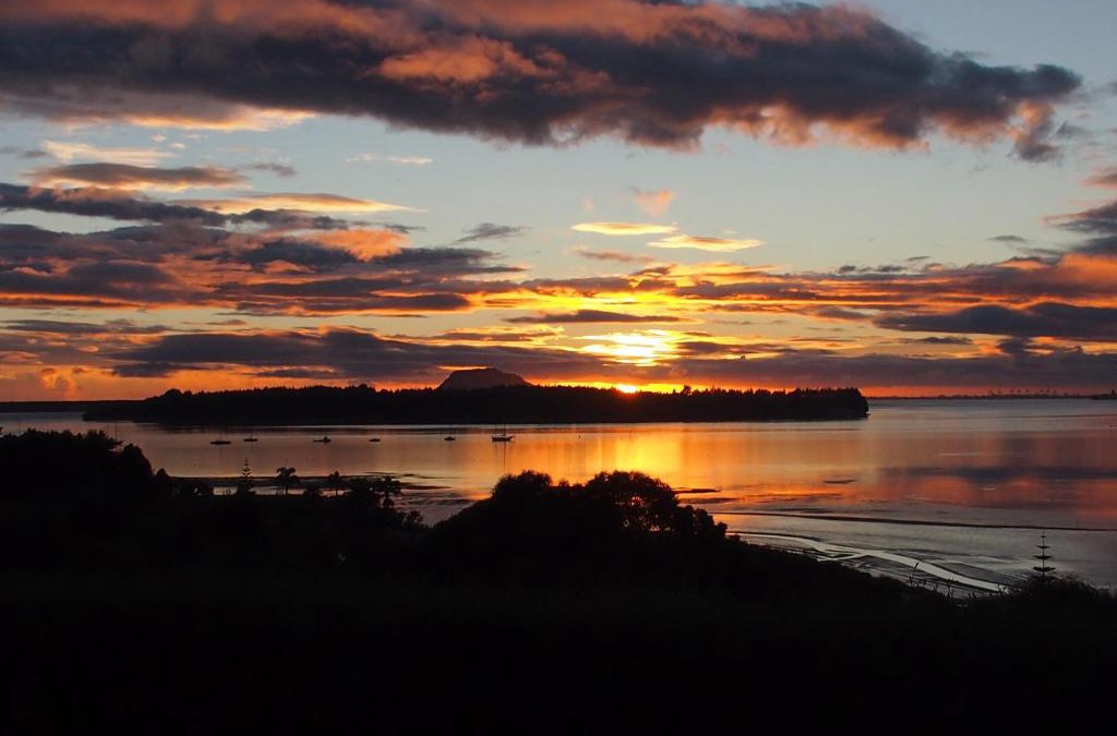 Omokoroa Apartment | Mangawhai Bay B&B