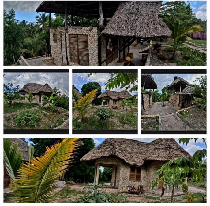 Mafia Island Bed & Breakfast | Mange eco lodge