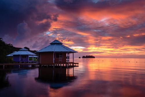 Roatan Resort | Mango Creek Resort