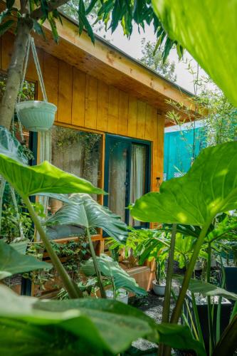 Nkoanrua House | Mango Eco Cabin by Banana Farm