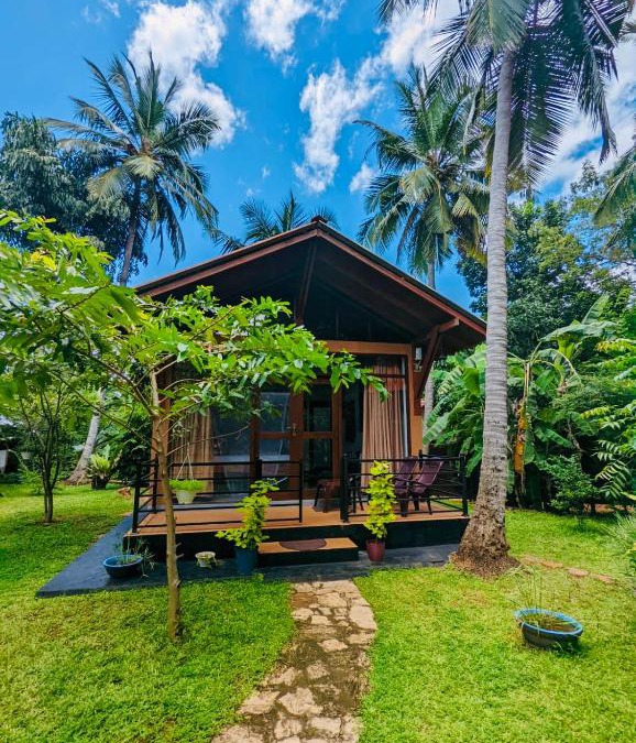 Udawalawa House | Mango Tree House
