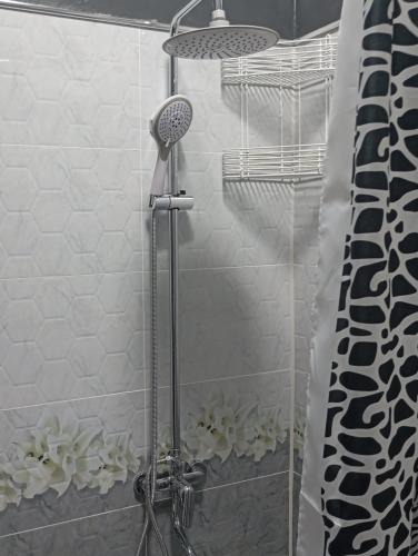 Bukhara House | MAR.s