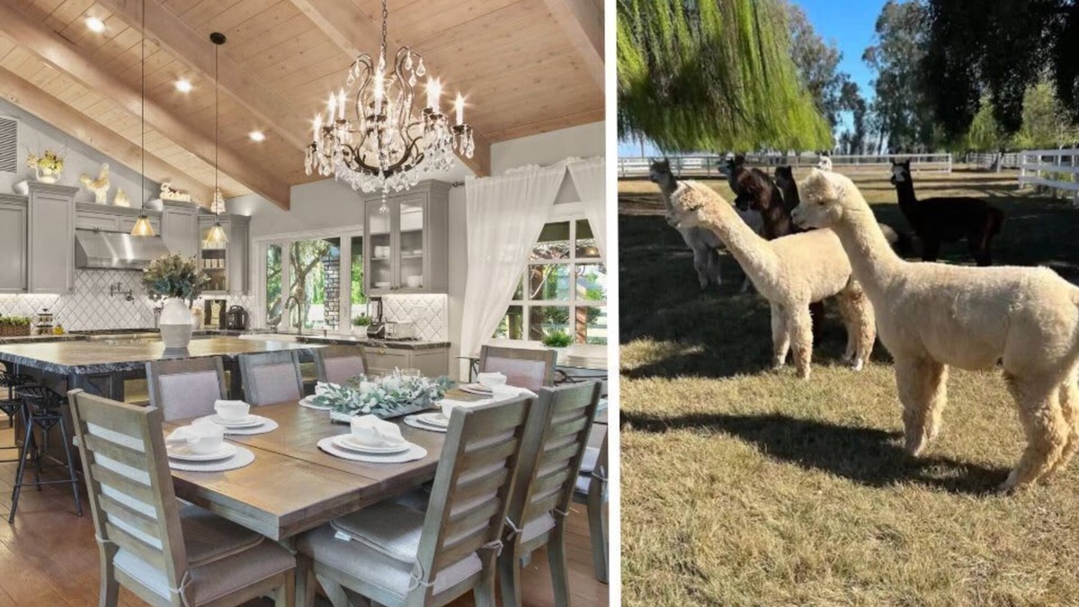 Modesto House | @ Marbella Lane - Alpaca Farm House l Pool
