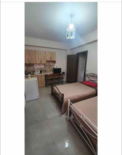 Elassona Apartment | Margaret home