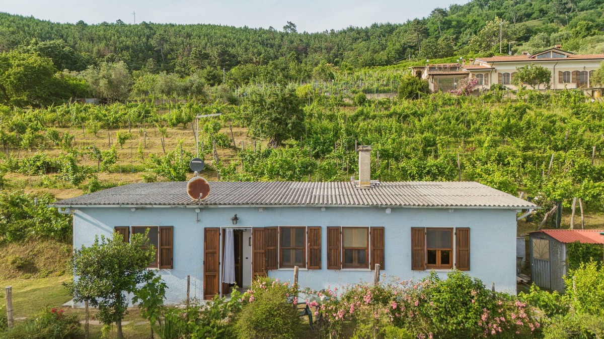 Montignoso House | Margherita by Interhome
