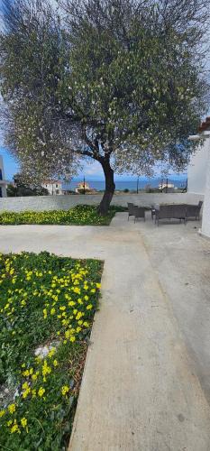 Milos House | Maria's place Agkistri