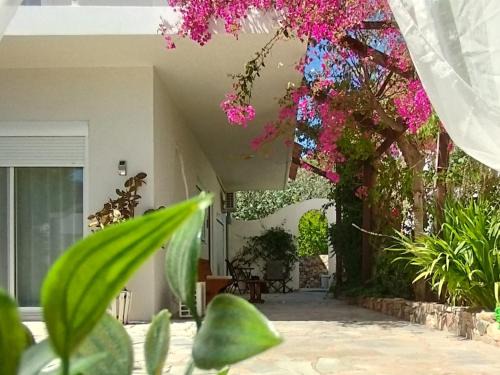 Tilos Apartment | Marilen