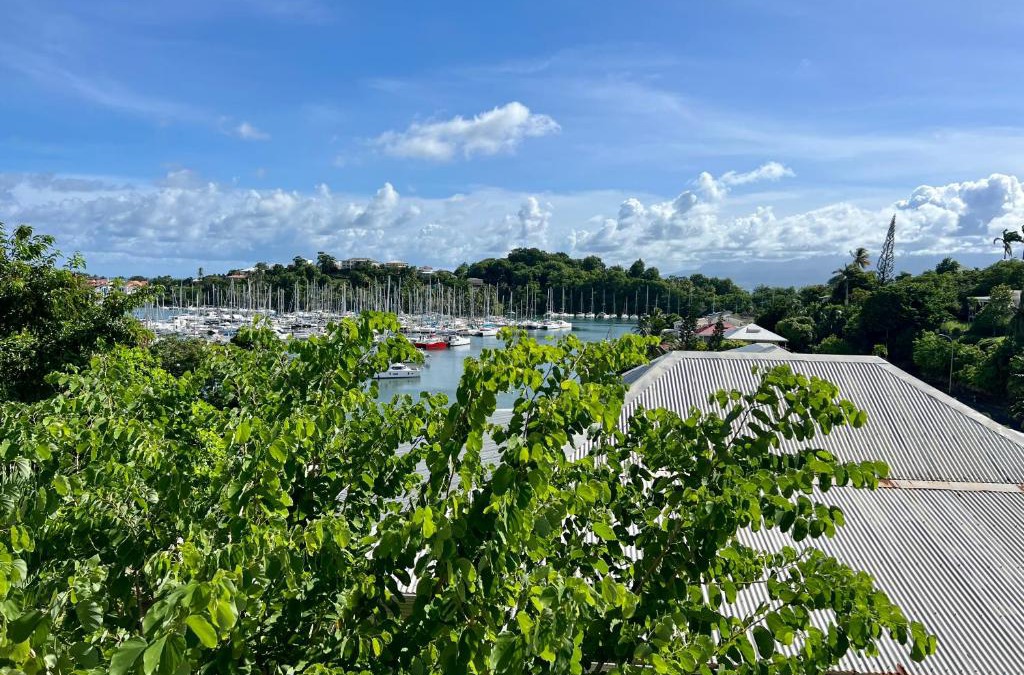Bas du Fort Apartment | Marina Hill Appartement vue mer