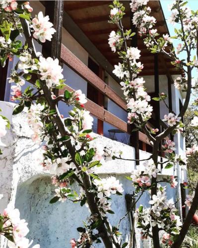 Agios Lavrentios House | Maro's Guesthouse
