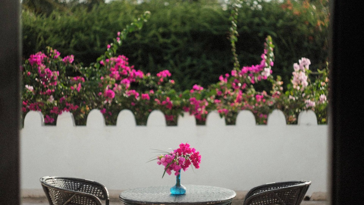 Lamu House | Marquezy House - Shela, Lamu Island