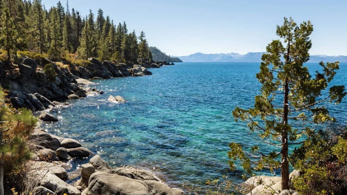 Stateline Condo | Marriot's Timber Lodge Resort - 2 Bed 2 Bath Sleeps 8