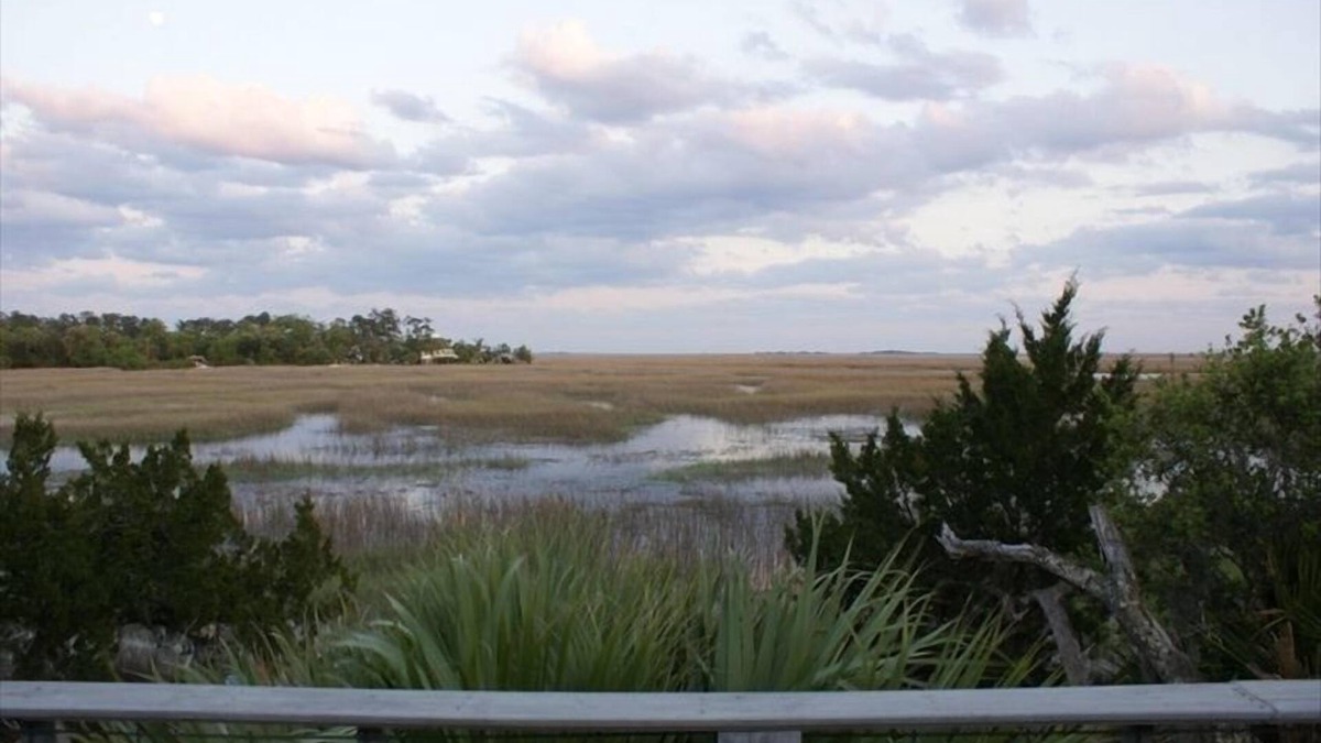 Meridian House | Marshbreeze.on Tidal Creek with Marsh View
