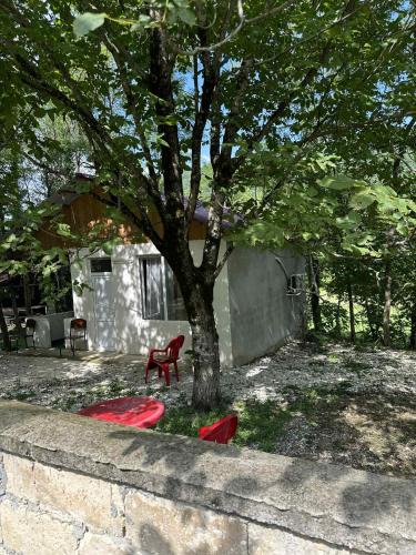 Salkhino Apartment | Martvili Canyon Cottage in the Forest