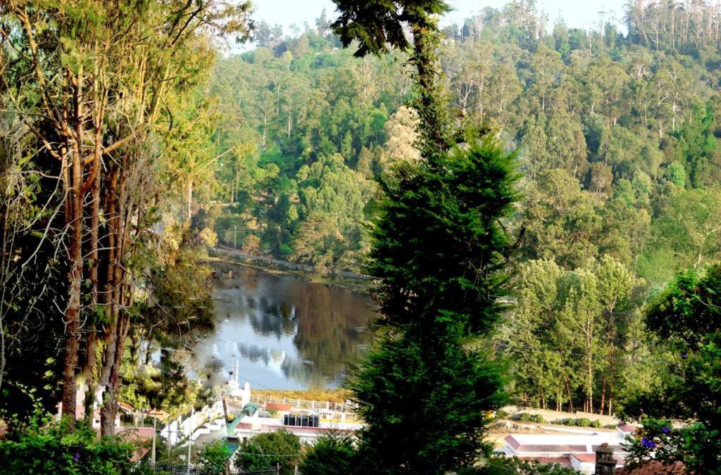 Kodaikanal House | Maruti Villa