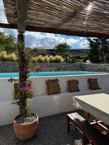 Cati House | Masía La Costereta