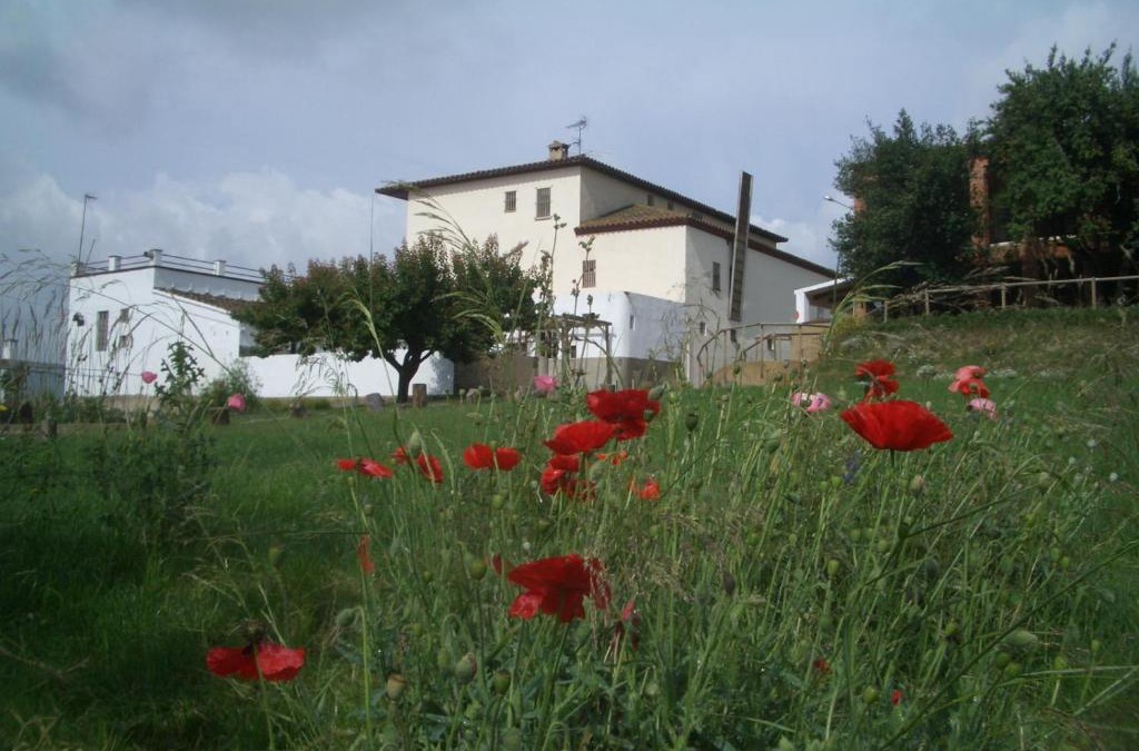 Les Franqueses del Valles House | Mas Cabrit