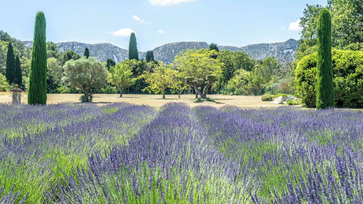 St.-Remy-de-Provence Villa | Mas D'exception au Pied des Alpilles