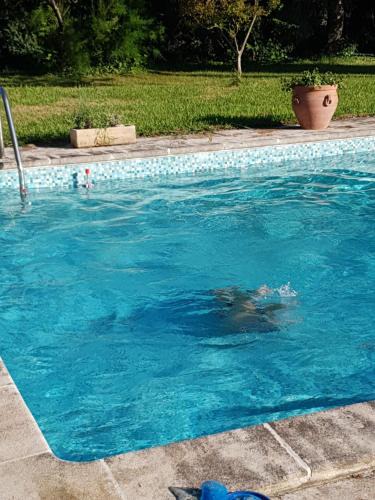 Saint-Martin-de-Crau House | Mas dans propriete agricole