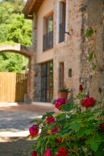 Santa Cristina de Aro House | Mas Salvador Rural Experience