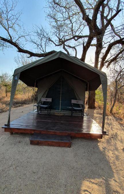 Thorny Bush Game Reserve Other | Masingitana Tented Camp