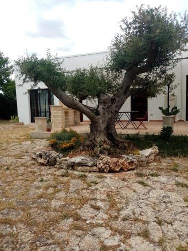 Mottola House | masseria chianca " Le Gravine"