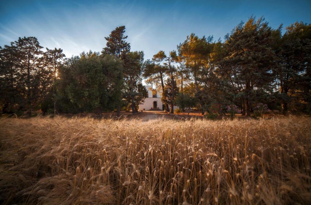 Galatina Bed & Breakfast | Masseria Fracchicchi