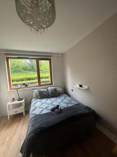 Stepaside House | Master Bedroom with Ensuite Bathroom & Shower