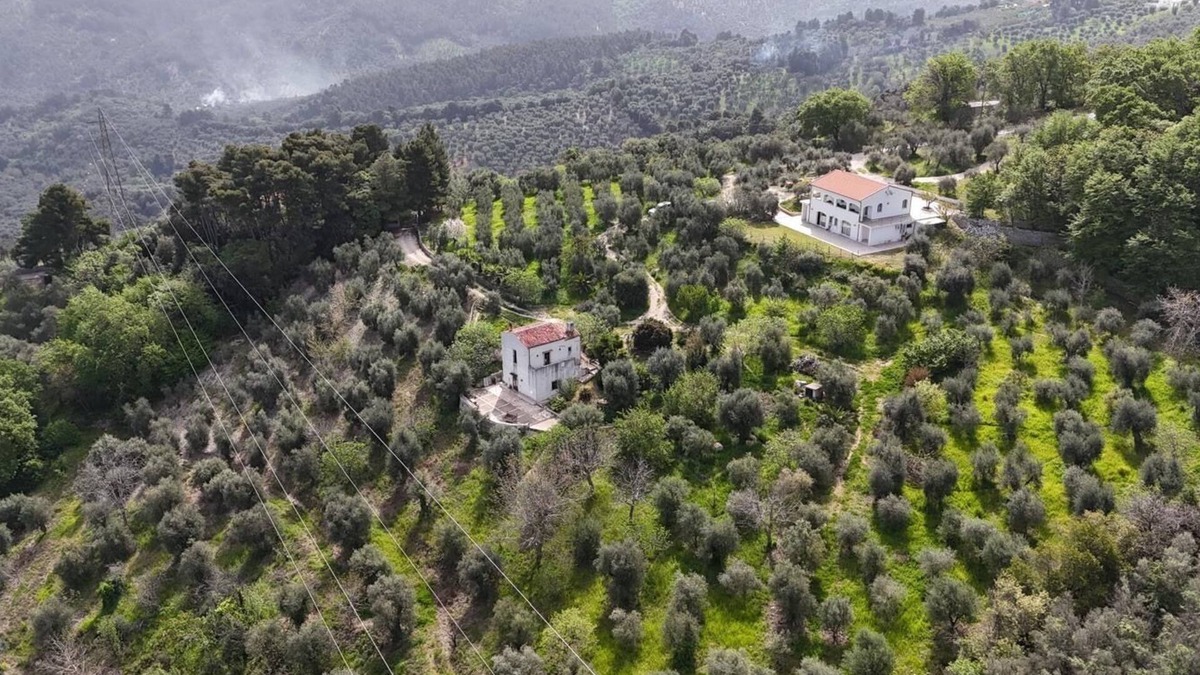 Vico del Gargano Bed & Breakfast | MATHEMATIC GREEN - A look at nature