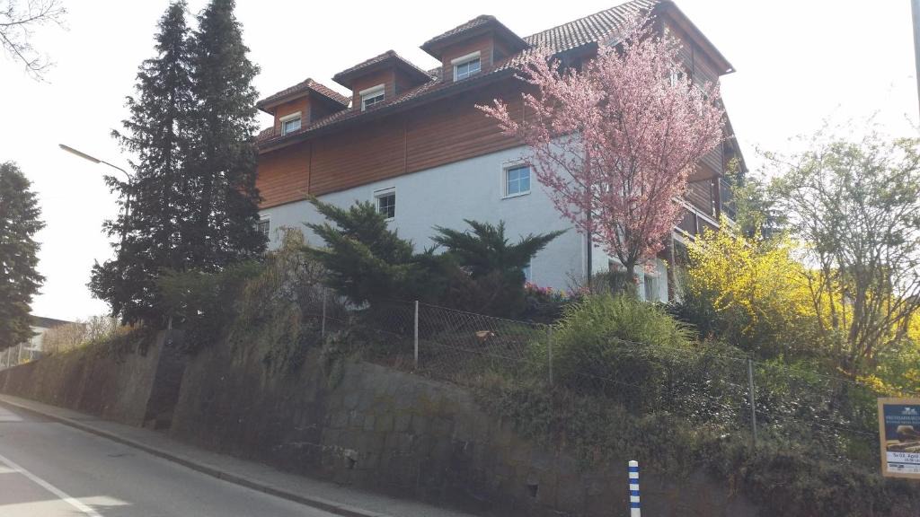 Elmberg Apartment | Mayerhofer House