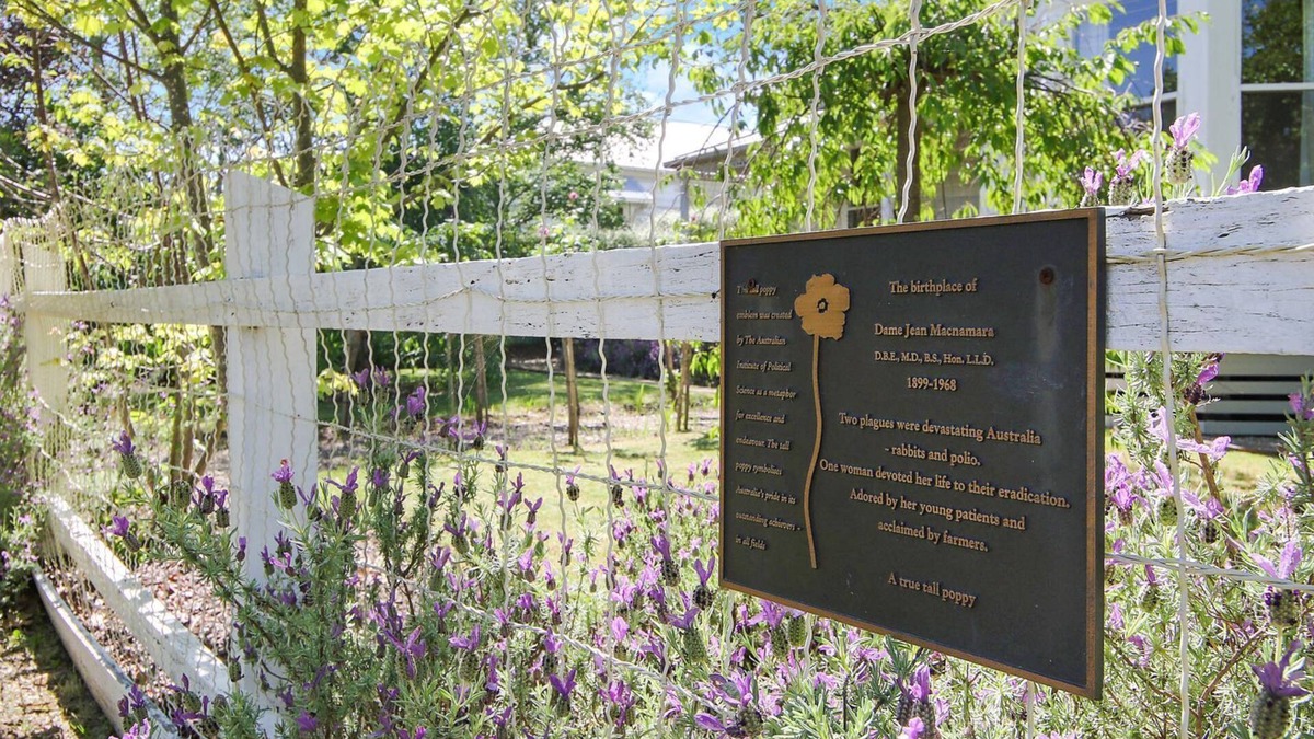 Beechworth House | McNamara House: Where history meets comfort in Beechworth's heart.