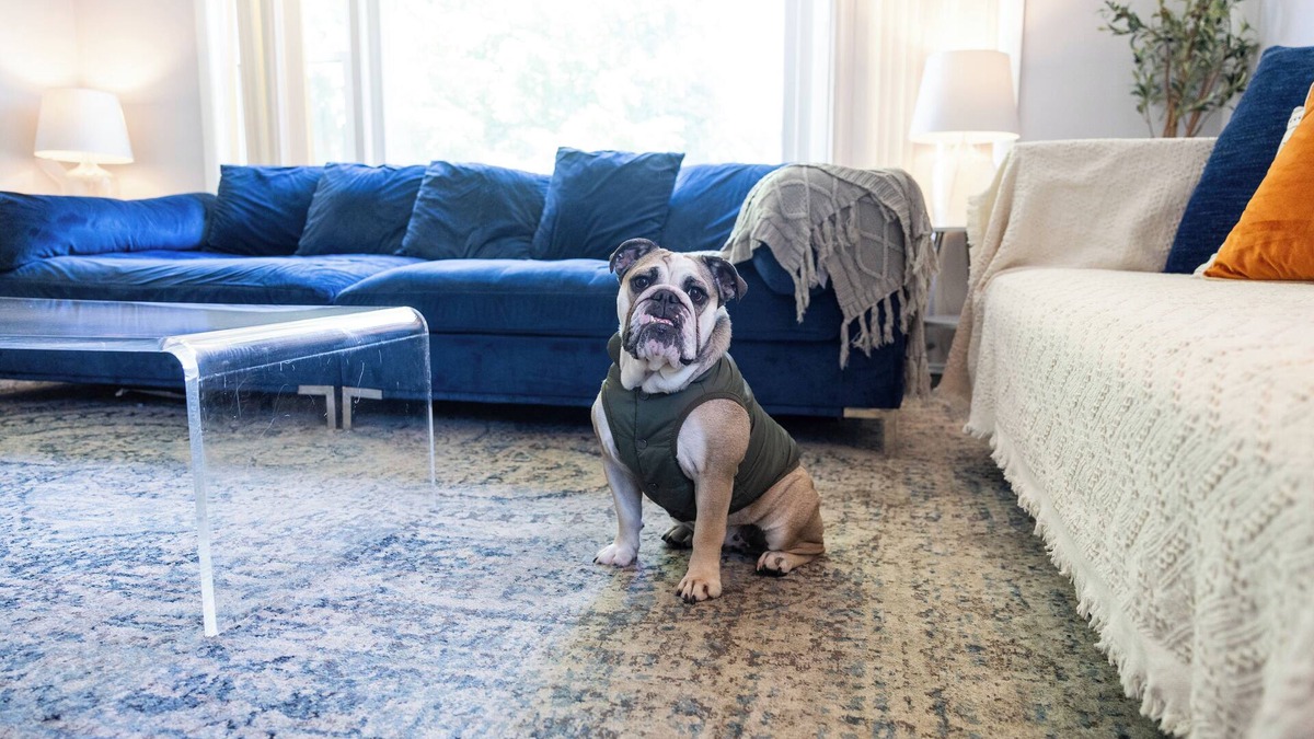 Evanston Condo | MDRN Kid-Friendly Apt|Charming|Private|Sunny|Fast Wi-Fi| Parking