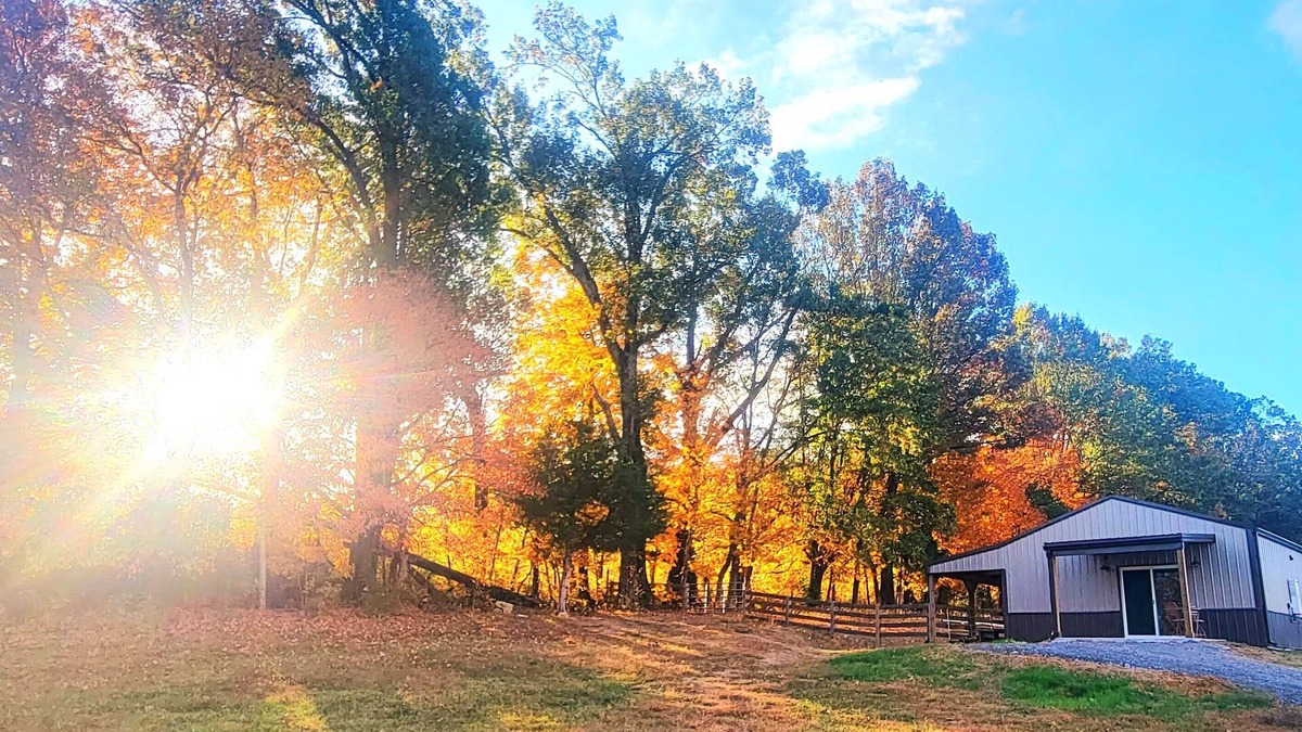 Readyville Cottage | Meadow Wood Cottage nPeaceful, Relaxing Luxury in the Country