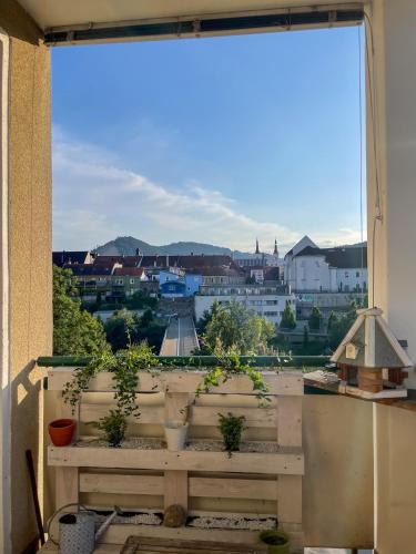 Leoben Apartment | Melior City View Apartment