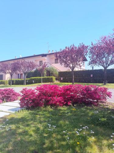 Colombare Apartment | Memy's House bilocale con terrazza