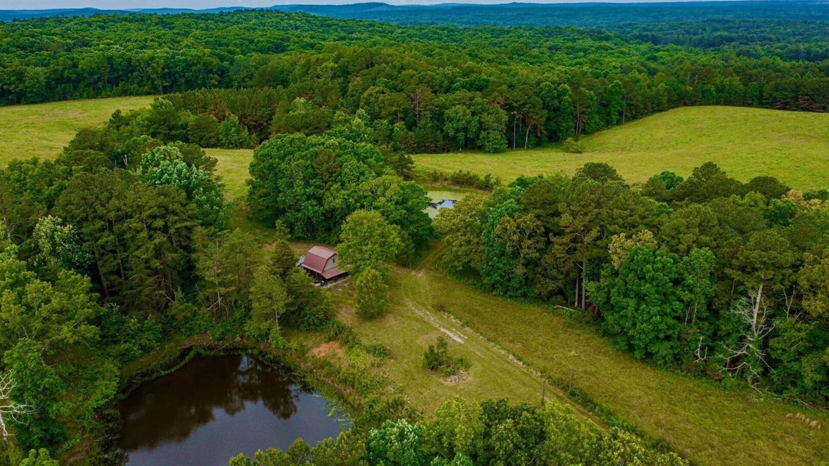Pikeville Cabin | Mennonite Built Cabin on 81 acres surrounded by 30,000 acres of state park