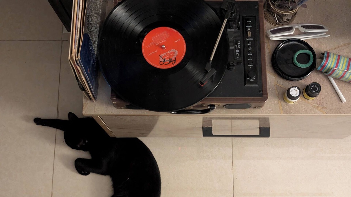 Lahore House | Meow Manor