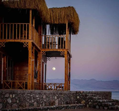 Nuweiba Hotel | Mermaid camp