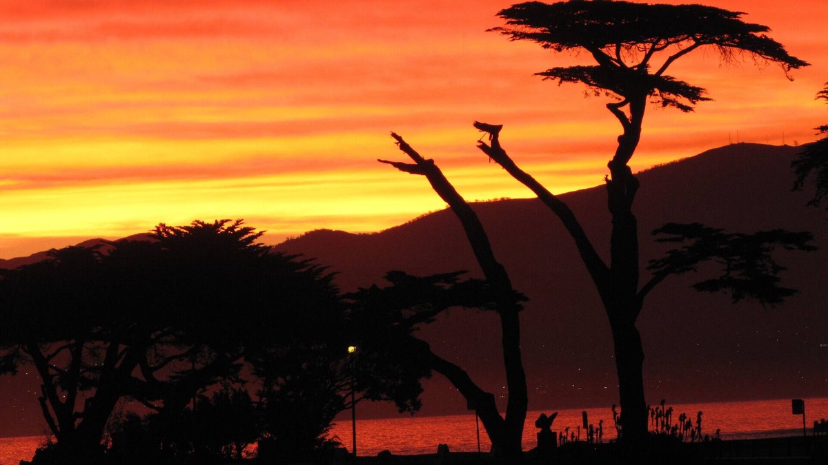 Pacific Grove Cottage | Mermaid Retreat, PET FRIENDLY, One Week Minimum Stay, Permit #0027