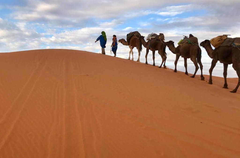 Lac Yasmins Other | Merzouga Adrar Camp