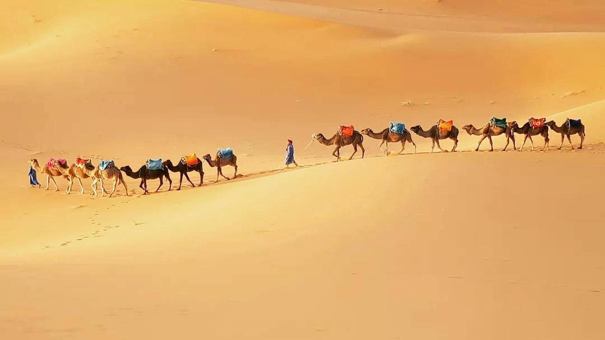 Merzouga Apartment | Merzouga Exotic Luxury Camp Is The Best Location