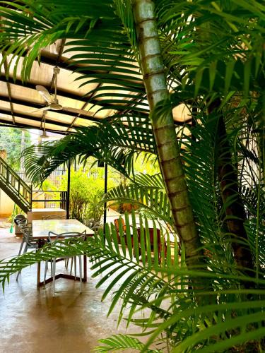 Siem Reap House | Mes trois coeurs