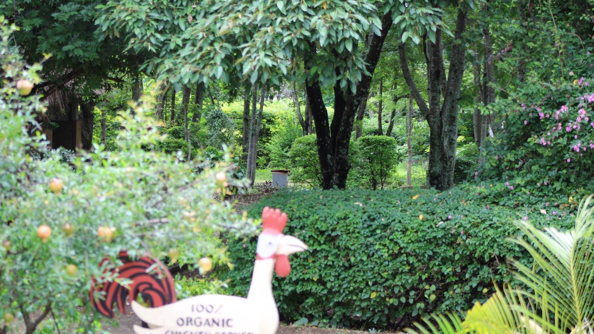 Arusha Region Hotel | Meserani Oasis Lodge & Campsite