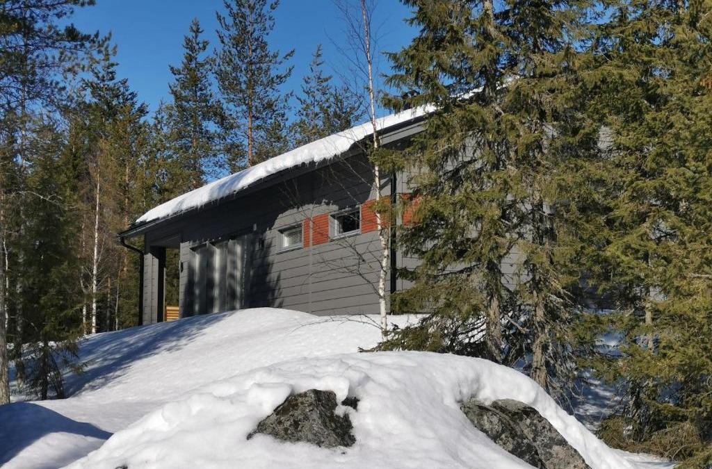 Syote House | Metsän Ukko