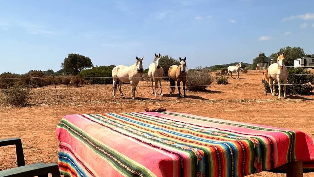 Lagos House | Michas caravan for 2 See the herd of horses from your bed